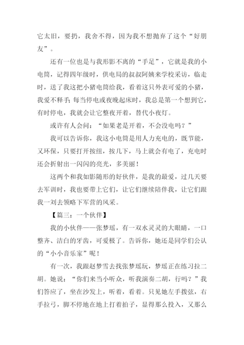 描写小伙伴的作文-1.docx