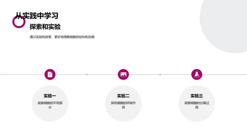 细胞知识讲解PPT模板