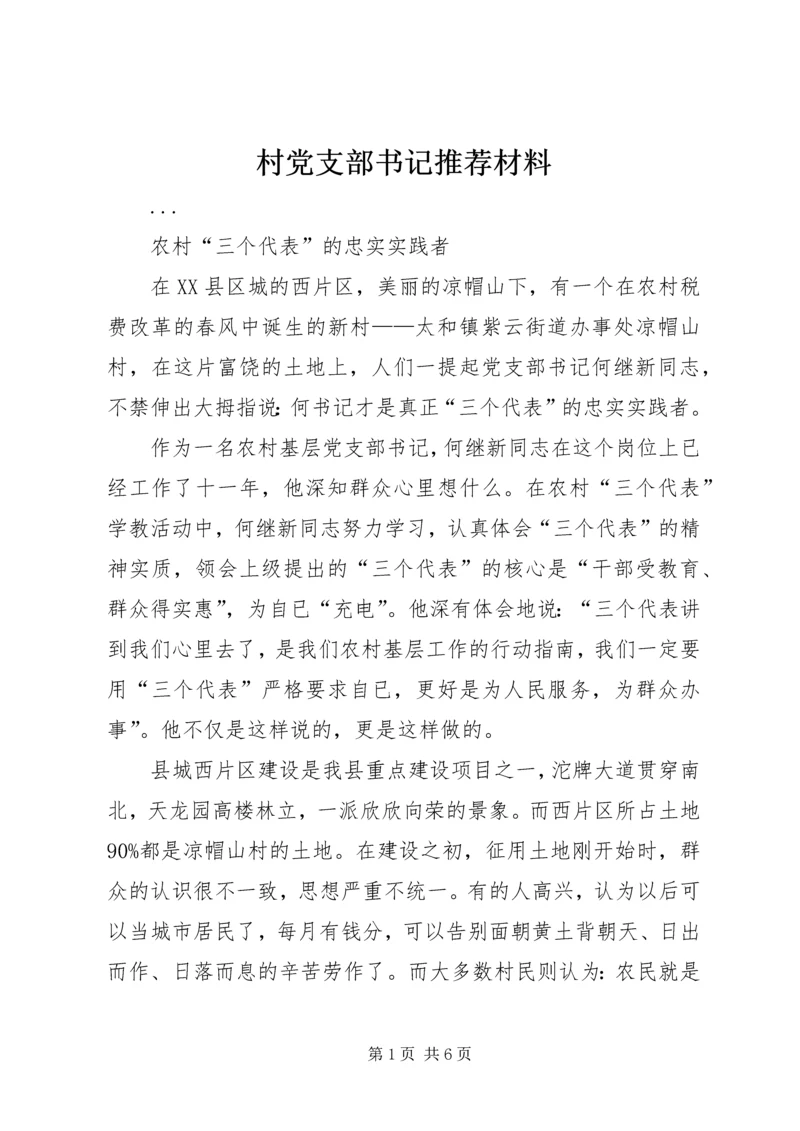 村党支部书记推荐材料 (3).docx