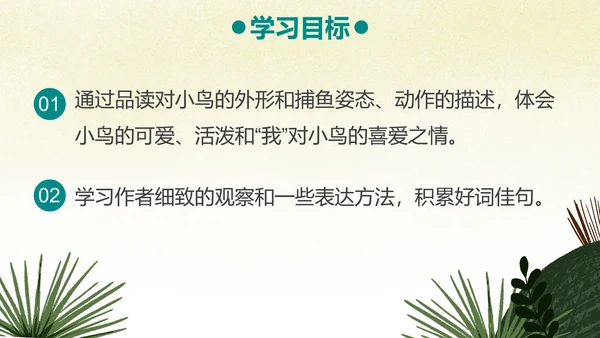 部编版三年级上册《搭船的鸟》