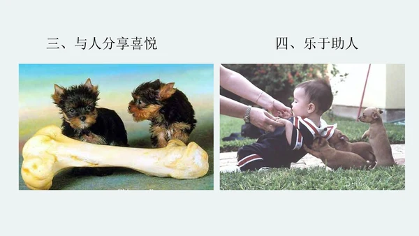 中学生心理健康主题班会PPT模板