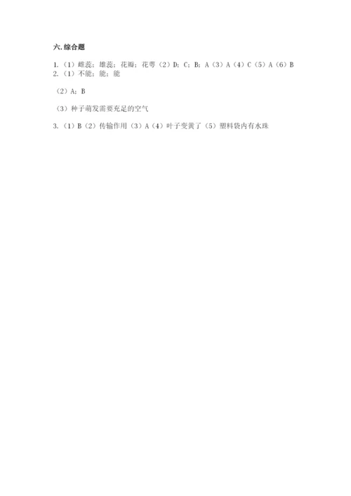 科学四年级下册第一单元植物的生长变化测试卷（巩固）.docx