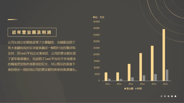 商务简约风金融商业计划书PPT模板