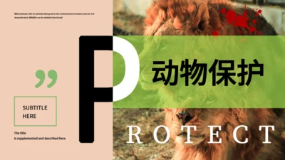保护野生动物生态通用PPT模板