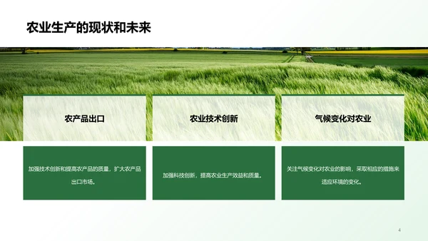 绿色插画农田观察与体验研究报告PPT模板