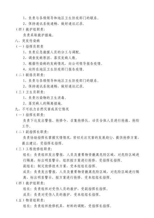 公司应急预案.docx