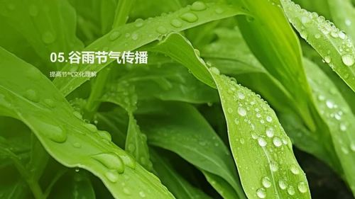 谷雨节气文化探秘