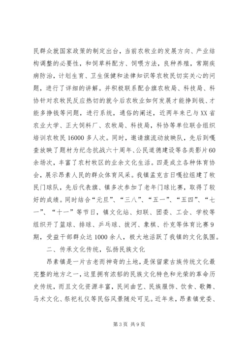 乡镇文化站典型材料.docx