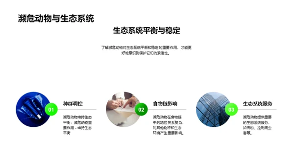 3D风其他行业教学课件PPT模板