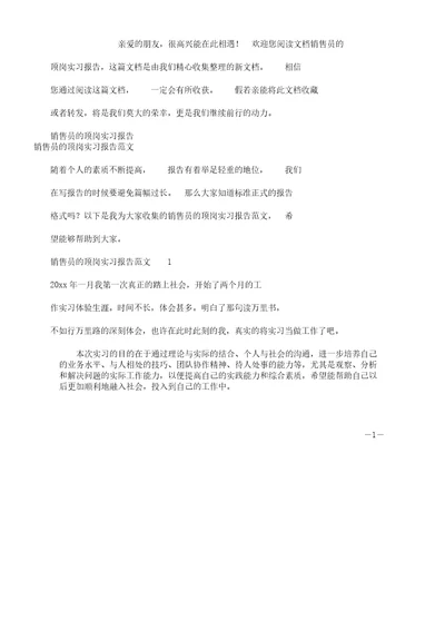 销售员顶岗实习报告计划