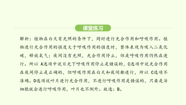 第三单元-第二章-第三节-呼吸作用课件-2024-2025学年七年级生物下学期人教版(2024)(共