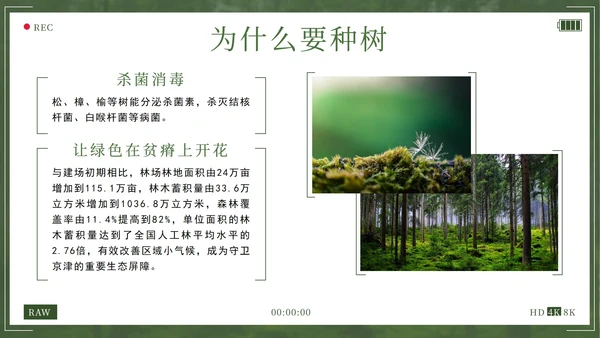 绿色拥抱春天播种希望植树节主题班会带内容PPT模板