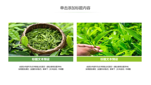 茶文化茶叶绿茶产品介绍动态PPT模板