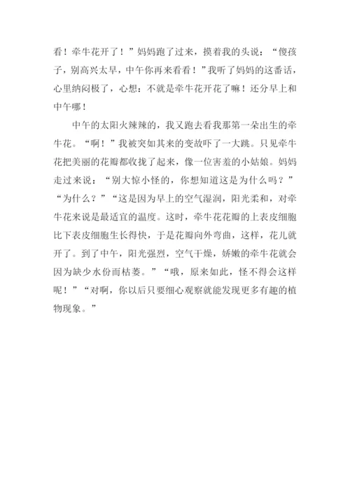 牵牛花的作文400字.docx