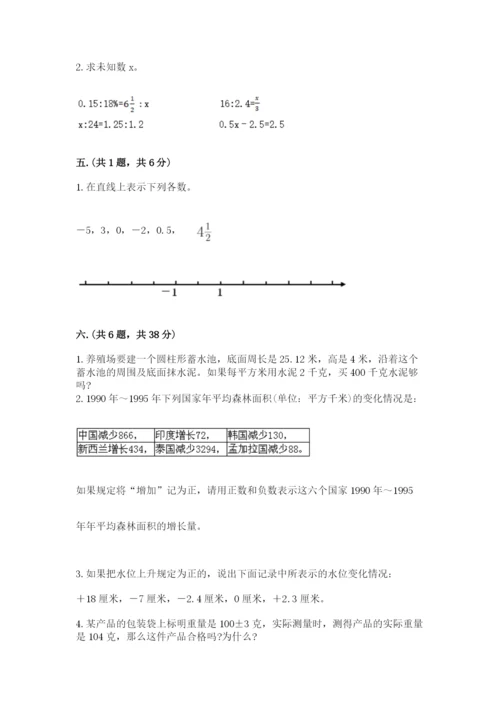 河南省平顶山市六年级下册数学期末考试试卷附参考答案（典型题）.docx