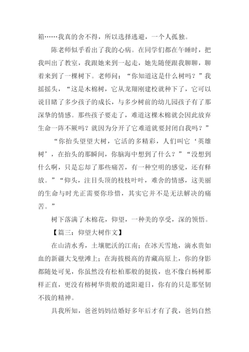 仰望大树作文1000字.docx
