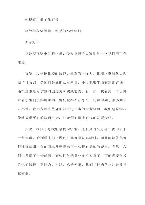 校视察组工作汇报