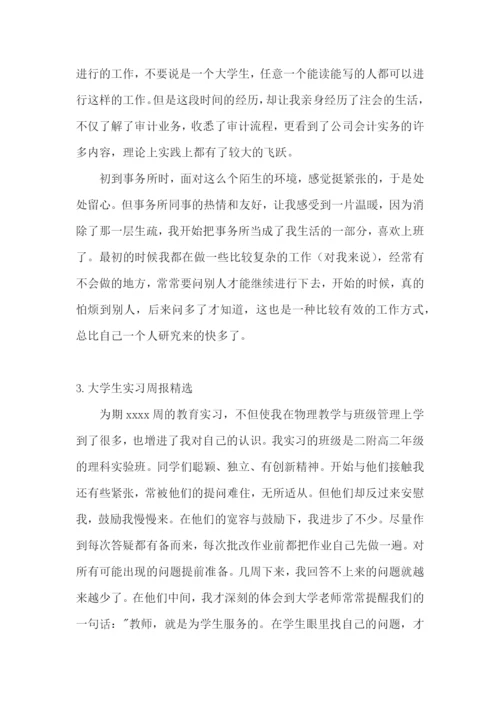 大学生实习周报【精选5篇】.docx