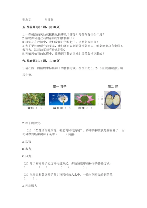 教科版科学四年级下册第一单元《植物的生长变化》测试卷【名师推荐】.docx