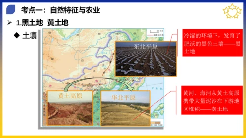 第六章 北方地区（考点串讲课件）(共53张PPT)