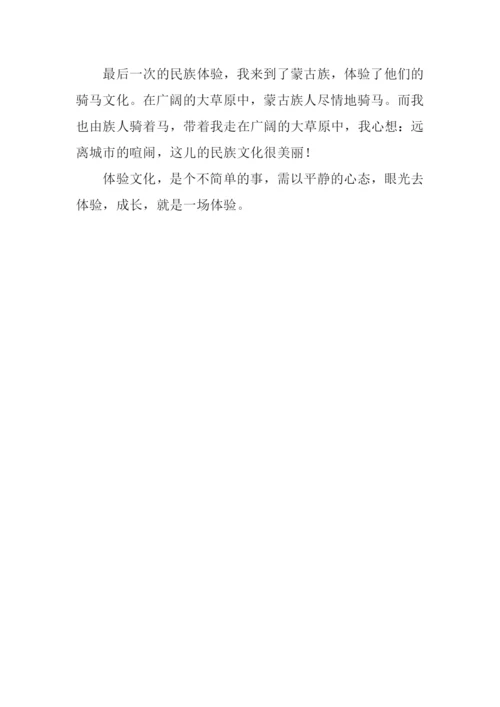 体验民族文化作文600字.docx