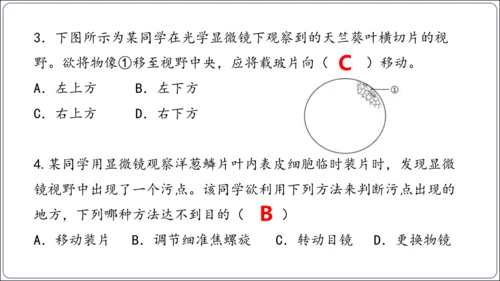 1.1&1.2 认识生物和细胞（复习课件）【2024人教新版七上生物高效完全备课】(共44张PPT)