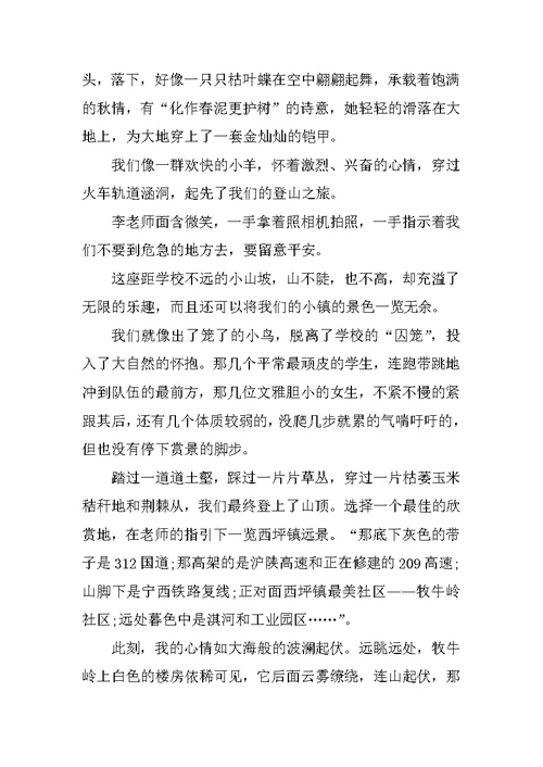 有关于重阳节的作文大全