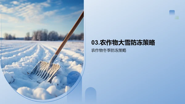 大雪季农业防寒策略