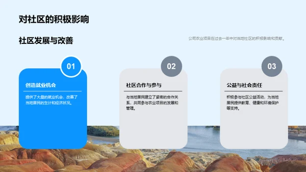 农业项目年终盘点