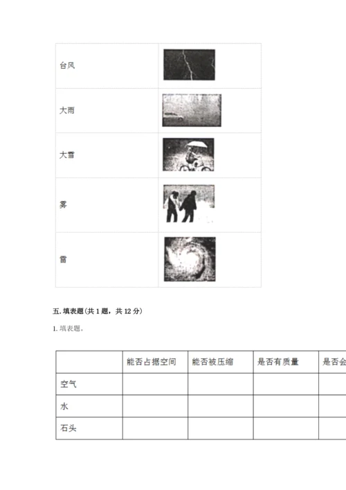 教科版三年级上册科学期末测试卷及1套完整答案.docx