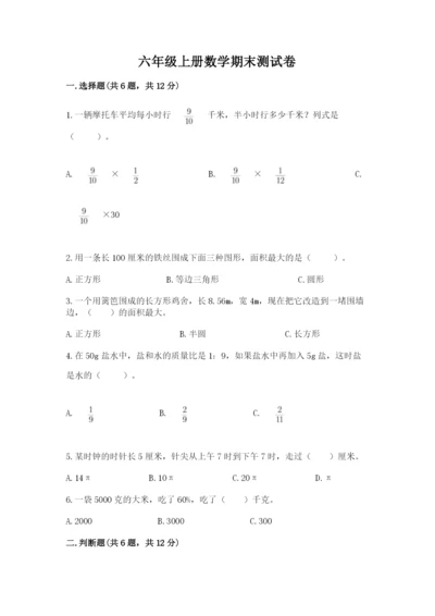 六年级上册数学期末测试卷附完整答案【历年真题】.docx