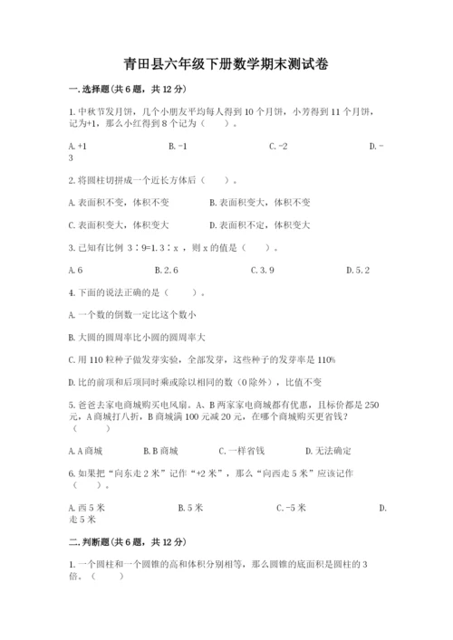 青田县六年级下册数学期末测试卷（黄金题型）.docx