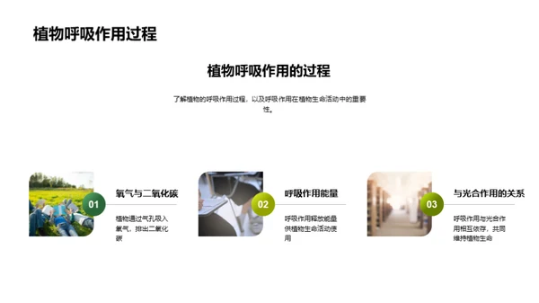 揭秘植物生命