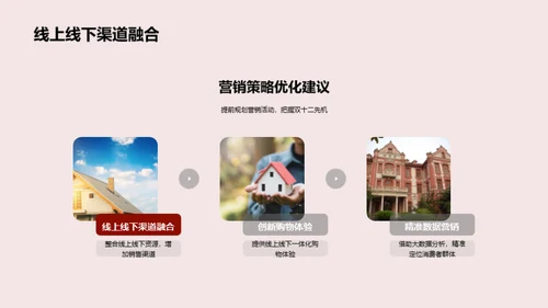 双十二家居消费洞察