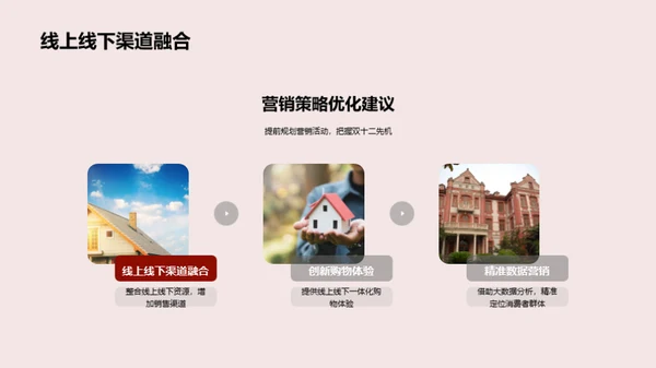 双十二家居消费洞察