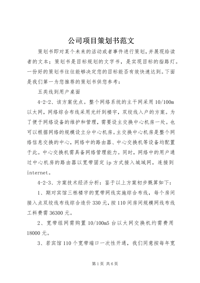 公司项目策划书范文.docx