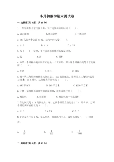 小升初数学期末测试卷精选.docx