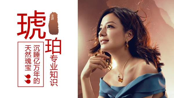 典雅轻奢琥珀藏品专业知识讲座PPT模板