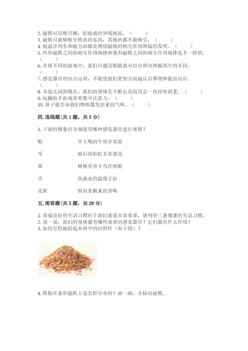 教科版小学科学二年级下册期末测试卷及参考答案（满分必刷）.docx
