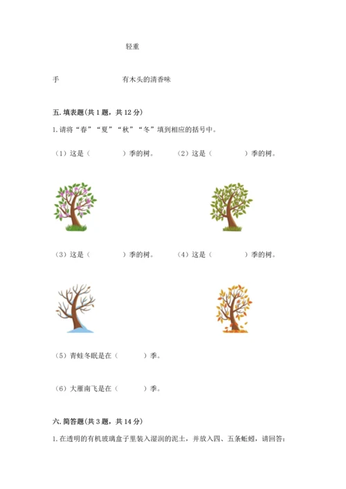 教科版二年级上册科学期末测试卷精品【巩固】.docx
