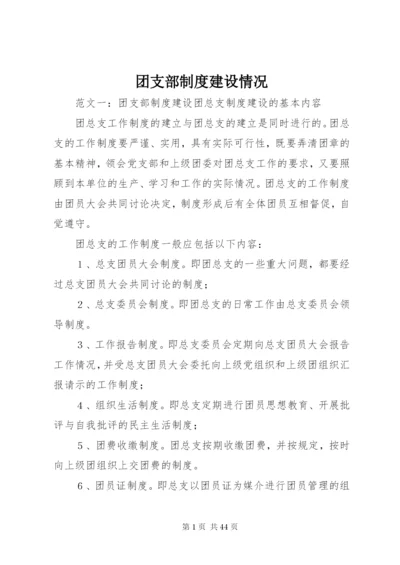 团支部制度建设情况.docx