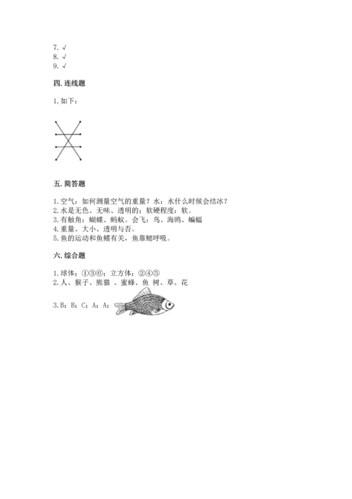 教科版一年级下册科学期末测试卷含答案【新】.docx
