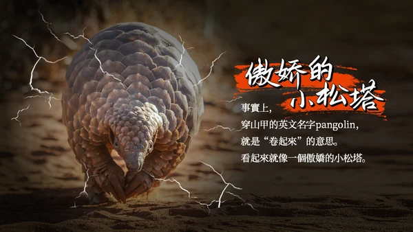 保护野生动物穿山甲通用PPT模板