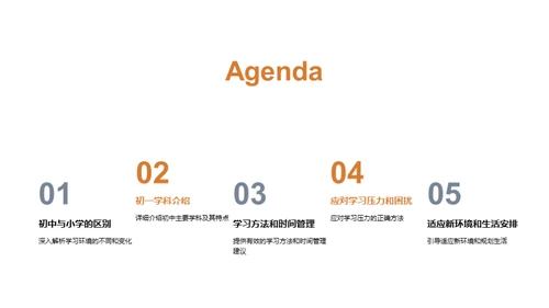 初中生涯：掌握新篇章