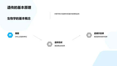 生物学教学解析PPT模板