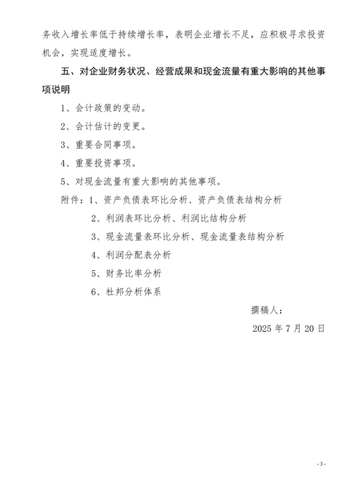 财务总结财务情况分析说明书