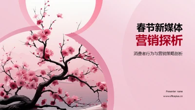 春节新媒体营销探析