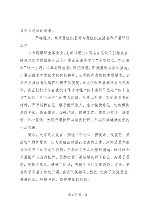 不忘初心牢记使命主题教育专题组织生活会和民主评议党员工作总结.docx