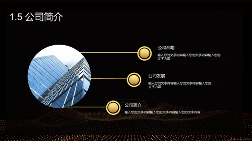 黑金奢华创业计划书通用PPT模板
