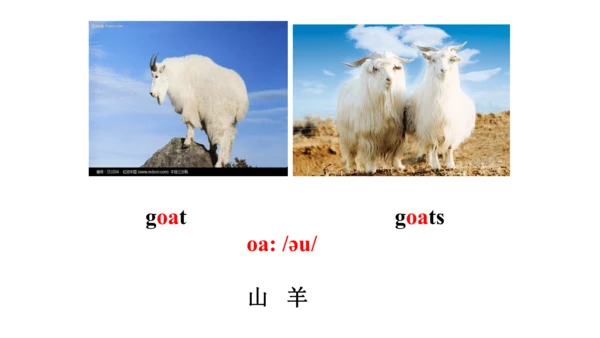 Unit 6  Would you like to take a trip? 单元知识梳理（单词+句